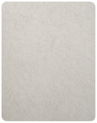 Декоративная нержавеющая сталь Random grain Silver Matt