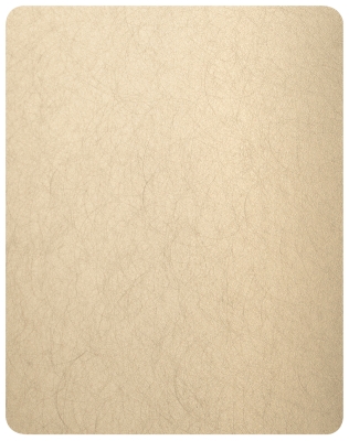 Декоративная нержавеющая сталь Random grain Champagne Gold Matt — AISI 201