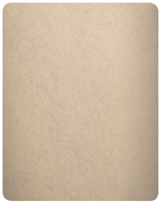 Декоративная нержавеющая сталь Random grain Champagne Matt — AISI 201