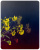 Декоративная нержавеющая сталь Gradient Red Night Gradient