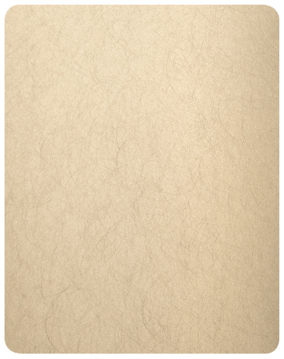 Декоративная нержавеющая сталь Random grain Champagne Gold Matt